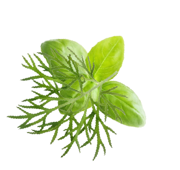 Herb decoration